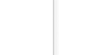 Apple Pencil (2nd Generation): Pixel-Perfect Precision and Industry-Leading Low Latency, Perfect for Note-Taking, Drawing, and Signing documents. Attaches, Charges, and Pairs magnetically.