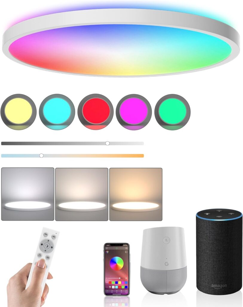 Ceiling Light LED Dimmable Flush Mount RGB Panel Smart Alexa Google Home WiFi with Remote Control for Living Room Bedroom Dinning Kitchen Hallway Bathroom Round 12Inch 24W White