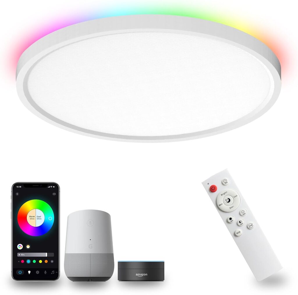 GNOLAK Flush Mount Smart Ceiling Light with Remote Control, Compatible with Alexa Google Home, 12 Inch 24W 2400LM Dimmable WiFi RGB Color Changing LED Ceiling Light Fixture for Bedroom Living Room